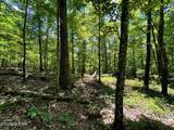 Lot 3 Highway 304 - Photo 14