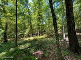 Lot 3 Highway 304 - Photo 16