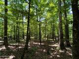Lot 3 Highway 304 - Photo 17