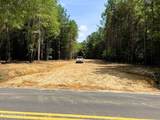 Lot 3 Highway 304 - Photo 2