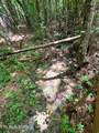 Lot 3 Highway 304 - Photo 21
