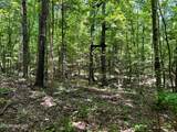 Lot 3 Highway 304 - Photo 28