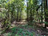 Lot 2 Highway 304 - Photo 13
