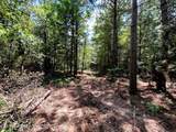 Lot 2 Highway 304 - Photo 14