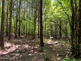 Lot 2 Highway 304 - Photo 20