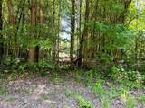 Lot 2 Highway 304 - Photo 6