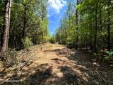 Lot 2 Highway 304 - Photo 7