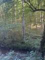  Lonesome Vally Rd Rd - Photo 2