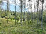  Long Branch Rd Off Rd - Photo 15
