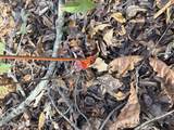  Loudon Hwy - Photo 10