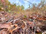  County Road 475 - Photo 10