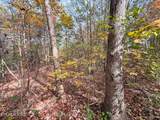  County Road 475 - Photo 6