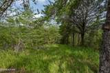 Lot 7 Parrotts Chapel Rd - Photo 1