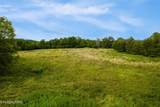  Alex Bales (39.31 Acres) Rd - Photo 2