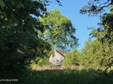  Alex Bales (39.31 Acres) Rd - Photo 3