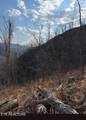 100 Knot Hole Rd - Photo 10