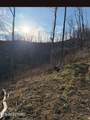 100 Knot Hole Rd - Photo 11