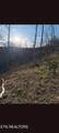 100 Knot Hole Rd - Photo 12