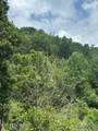 100 Knot Hole Rd - Photo 7