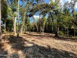 Tract 2 Pleasant Hill Road - Photo 2