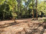 Tract 4 Pleasant Hill Road - Photo 3