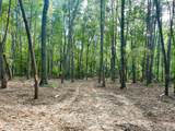 Tract 5 Pleasant Hill Road - Photo 4
