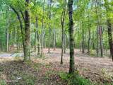 Tract 5 Pleasant Hill Road - Photo 6