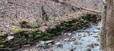  Stoney Fork Rd - Photo 1
