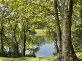  Lovely Bluff Rd - Photo 8