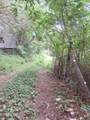 426 Rudd Hollow - Photo 3