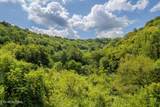 53.19AC Watts Hollow Rd - Photo 5