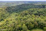 53.19AC Watts Hollow Rd - Photo 6