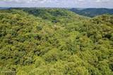 53.19AC Watts Hollow Rd - Photo 7