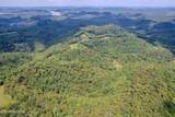 53.19AC Watts Hollow Rd - Photo 9