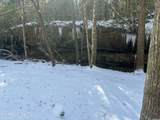 218 Lonesome Pine Lane - Photo 4