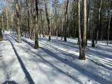 218 Lonesome Pine Lane - Photo 5