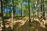 218 Lonesome Pine Lane - Photo 9