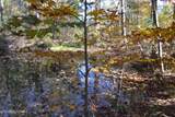28.30ac Whitson Hollow Rd - Photo 15