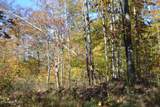 28.30ac Whitson Hollow Rd - Photo 31