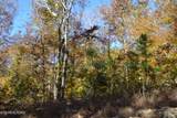 28.30ac Whitson Hollow Rd - Photo 34