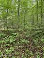  Lot 5 Mel Hall Rd - Photo 4
