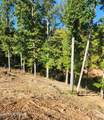 Lot 36 Bridgewater Pointe Blvd - Photo 9