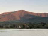 3769 Wears Valley Road - Photo 17