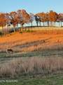520 Lowe Rd - Photo 1