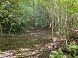 2534 Muddy Hollow - Photo 18