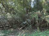 lot 12 Hickory Hill Drive - Photo 3