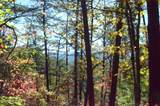 Lot 28R Mountain Retreat Rd - Photo 1