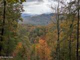  Bear Den Rd - Photo 7