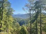  Bear Den Rd - Photo 8