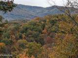  Bear Den Rd - Photo 9